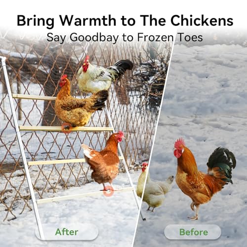 PETSFIT Chicken Coop Run with Anti-Rust Durable Steel, Large Walk-in Poultry Cage for Yard Z6201