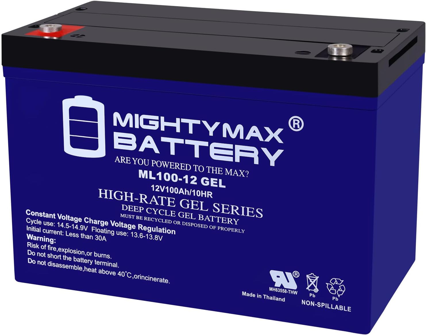Mighty Max Battery 12V 100AH Gel Replacement Battery for Powerwall Solar RV