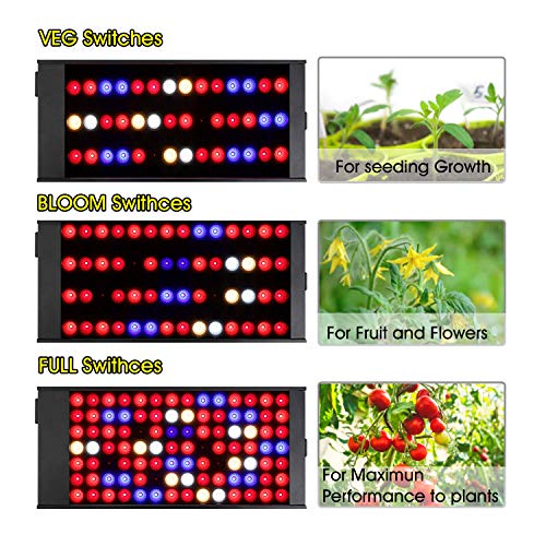 300W LED Grow Light for Indoor Plants, Full Spectrum, Dimmable L5551