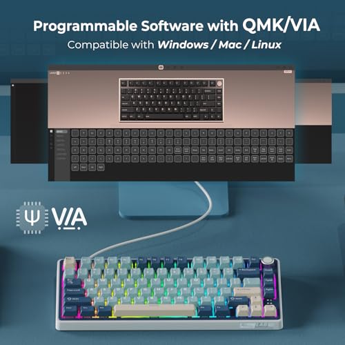 RK ROYAL KLUDGE R75 Wireless Mechanical Keyboard, 75% Custom Gaming Keyboard with RGB, Knob & PBT Keycaps F868