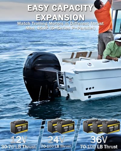 12V 100Ah LiFePO4 Lithium Battery with 100A BMS for RV, Marine, Golf Cart L967