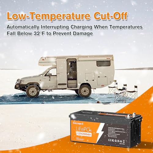12V 100Ah Mini Group 24 LiFePO4 Lithium Battery with 100A BMS N731