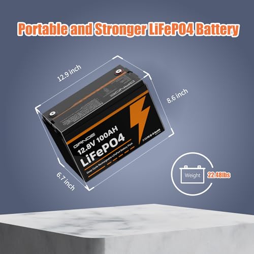12V 100Ah LiFePO4 Battery Group 31 with Built-in 100A BMS R3671