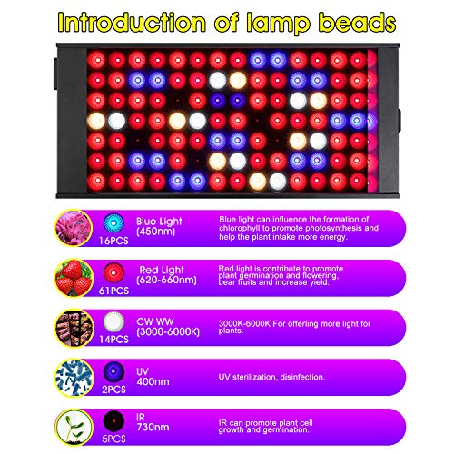 300W LED Grow Light for Indoor Plants, Full Spectrum, Dimmable L5551