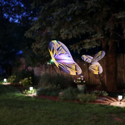 E-flite UMX Night Vapor BNF Basic RC Airplane 376mm X204408
