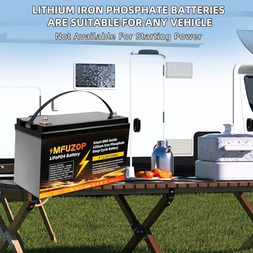 12V 100Ah LiFePO4 Battery with 100A BMS, Group 31 Deep Cycle P429569