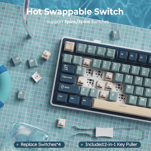 RK ROYAL KLUDGE R75 Wireless Mechanical Keyboard, 75% Custom Gaming Keyboard with RGB, Knob & PBT Keycaps F868