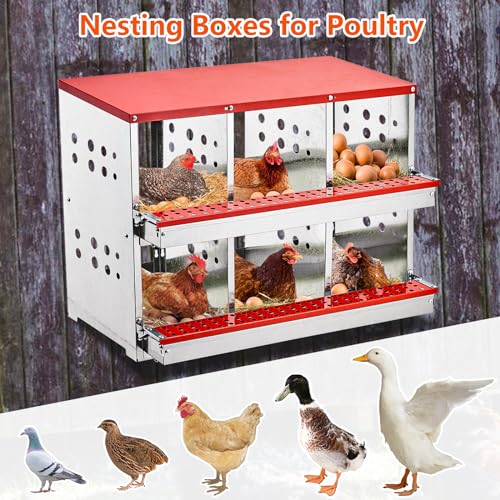 6 Compartment Metal Nesting Boxes for Chickens with Perch F73356
