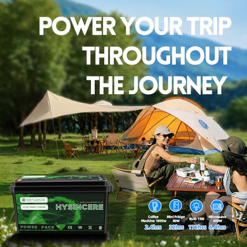 2Pack 12V 100Ah LiFePO4 Lithium Battery with 100A BMS for RV, Solar, Trolling Motor D52311