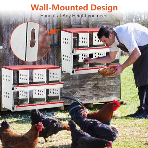 6 Compartment Metal Nesting Boxes for Chickens with Perch F73356