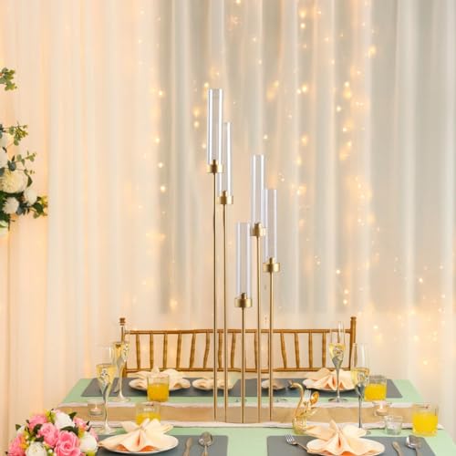 Matte Black 5 Arm Candelabra with Acrylic Shades for Table Centerpiece W6999