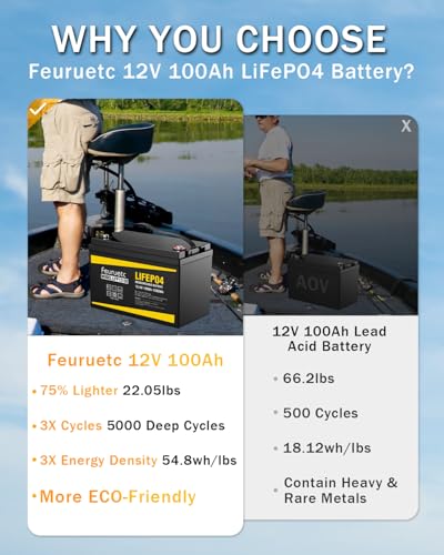 2 Pack 12V 100Ah LiFePO4 Battery with 100A BMS for RV, Solar, Trolling Motor Y4376