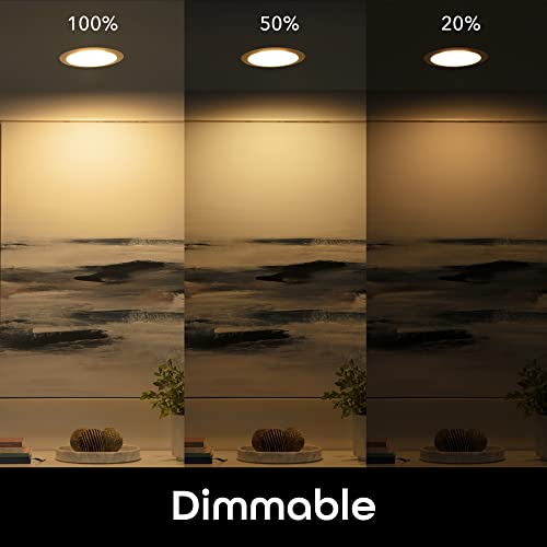 Geeni Prisma Plus BR30 LED Smart Light Bulb, Dimmable RGB WiFi, 4 Pack V505
