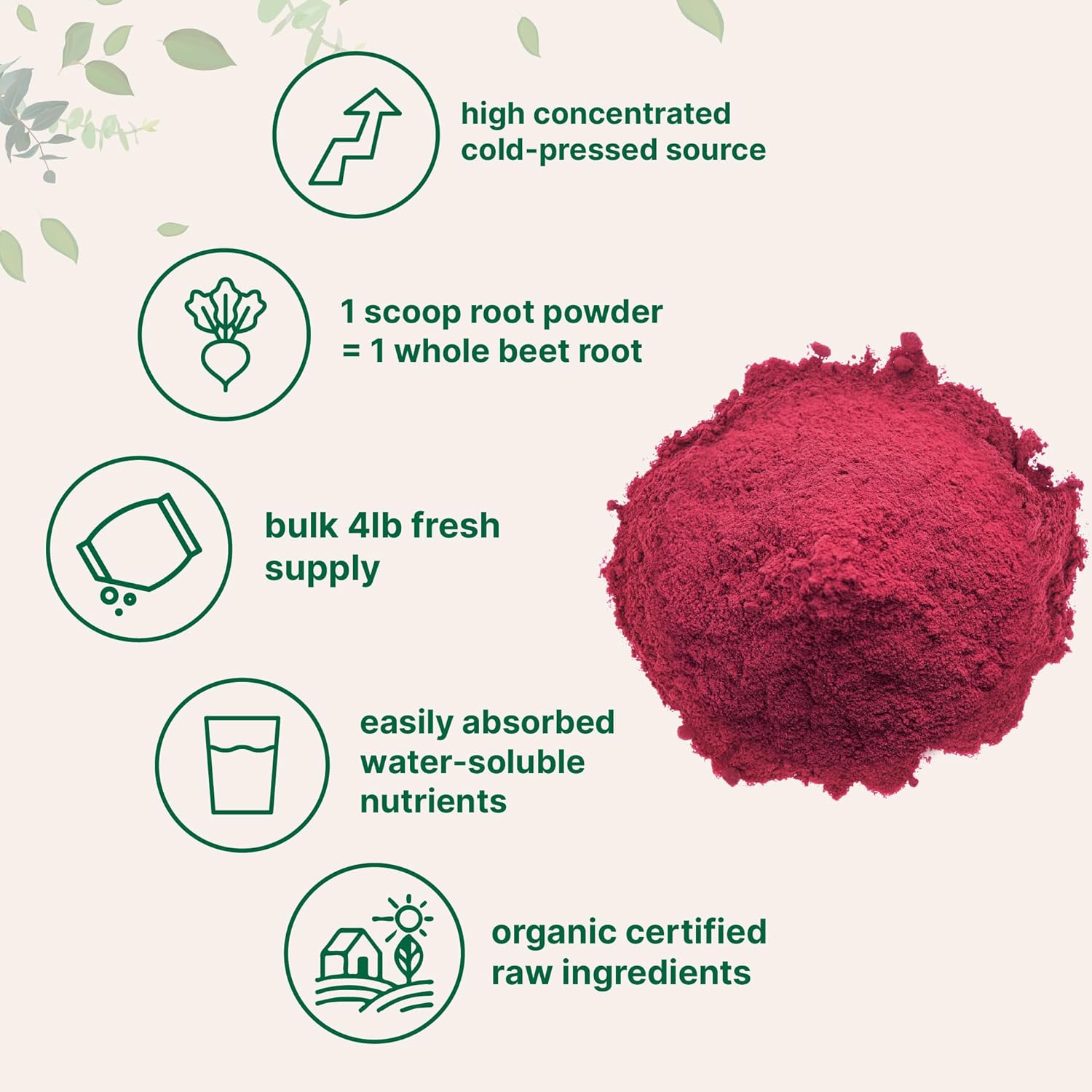 Organic Beet Root Powder, Cold Pressed, Non-GMO, Vegan N30055