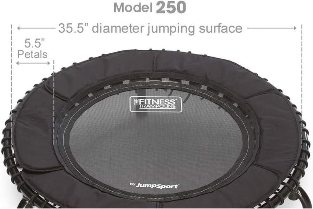 JumpSport 250 Indoor Rebounder Mini Trampoline with Handle Bar B516