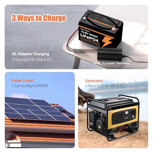 12V 100Ah LiFePO4 Battery Group 31 with Built-in 100A BMS R3671