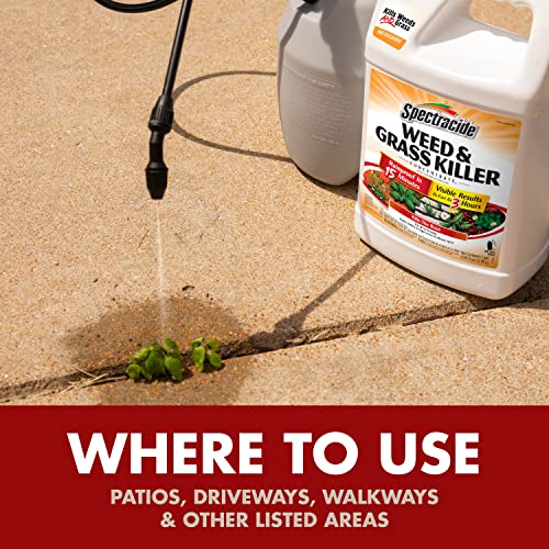 Spectracide Weed & Grass Killer Concentrate, 64 fl oz D5580