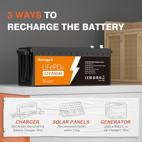 12V 100Ah Mini Group 24 LiFePO4 Lithium Battery with 100A BMS N731