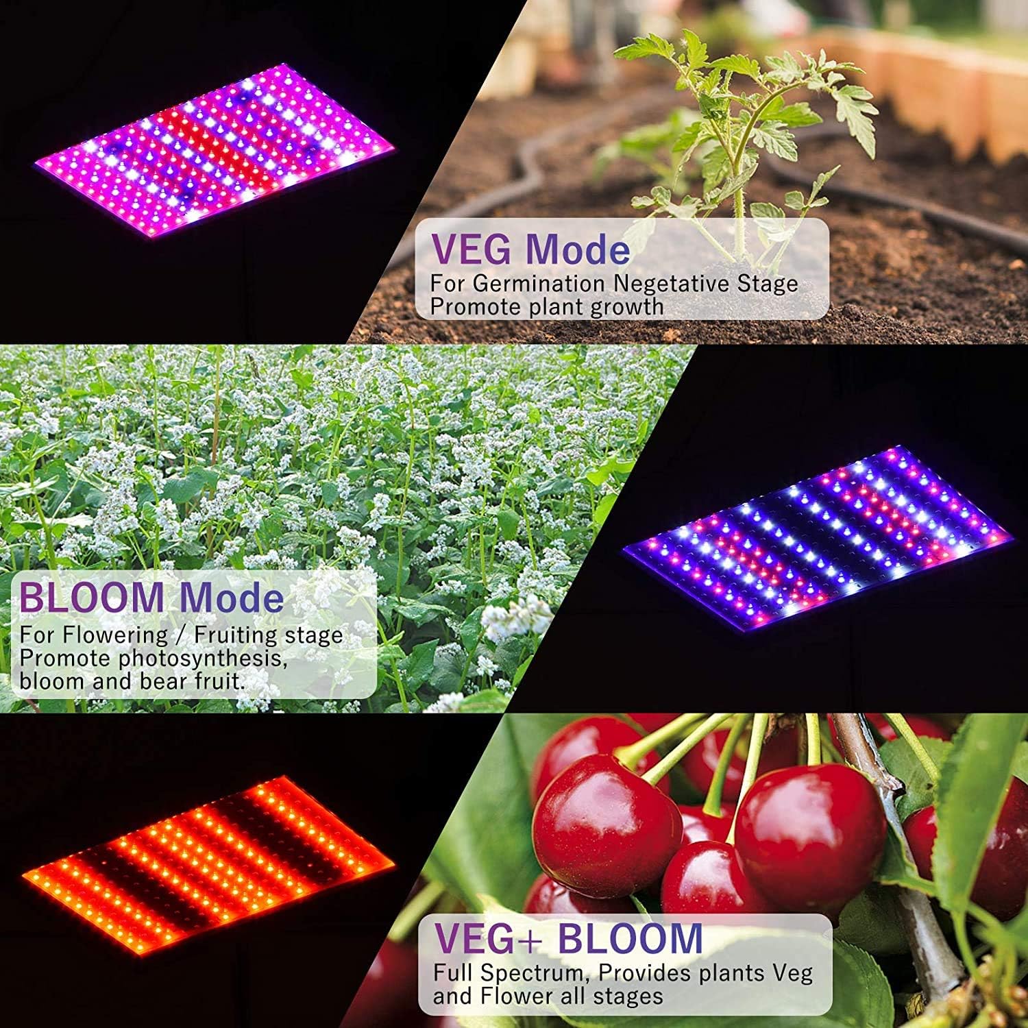 2000W LED Grow Light for Indoor Plants Full Spectrum with Timer F3071