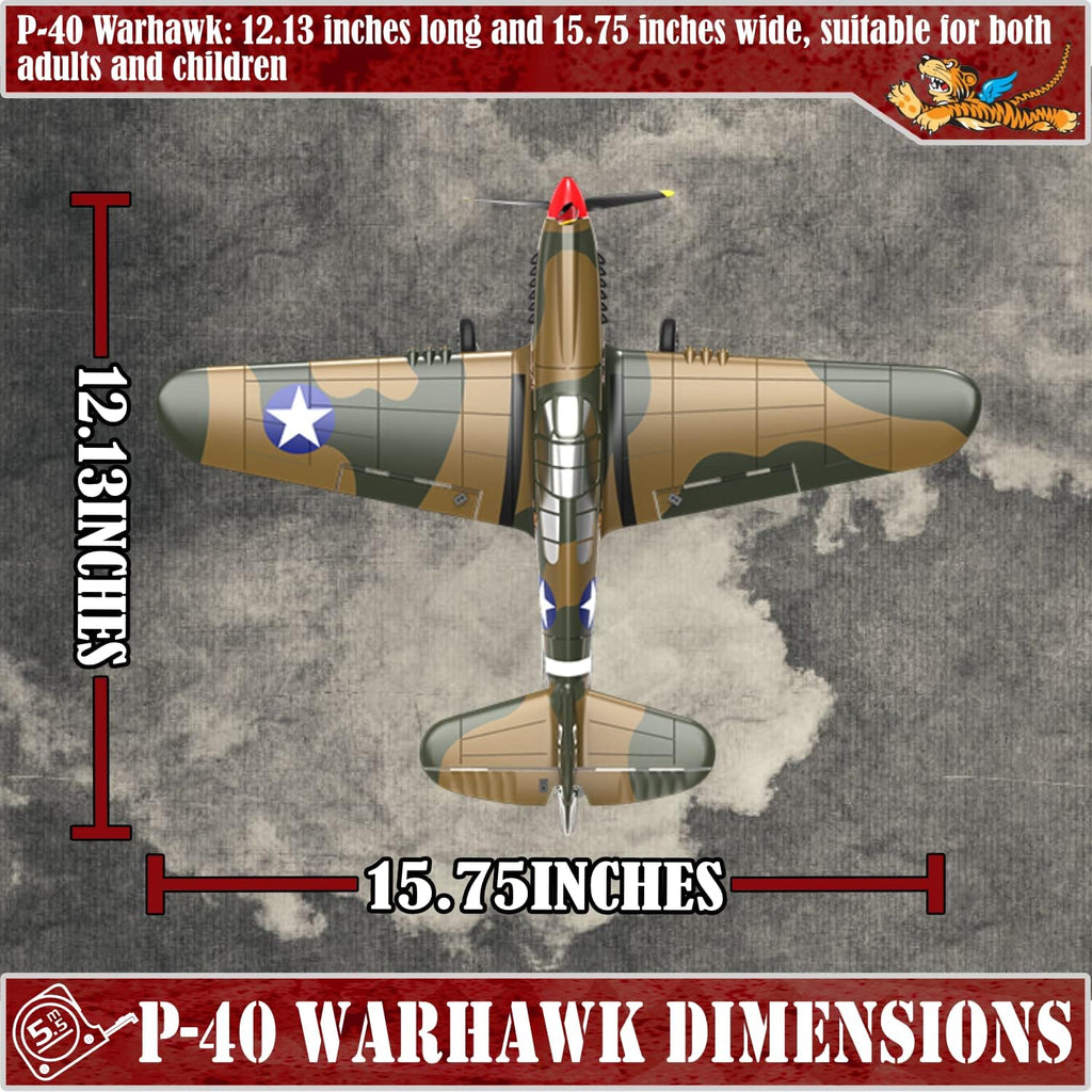 LEAMBE RC Plane P-40 Warhawk 4 Channel Remote Control Airplane Ready to Fly A5281