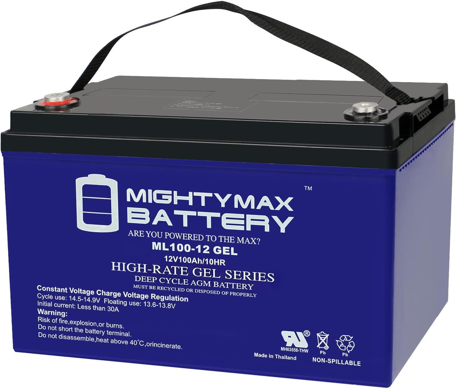 Mighty Max Battery 12V 100AH Gel Replacement Battery for RV Solar Z96545