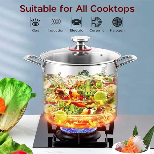 Tri-Ply 18/10 Stainless Steel Stock Pot 8 Quart with Lid H393