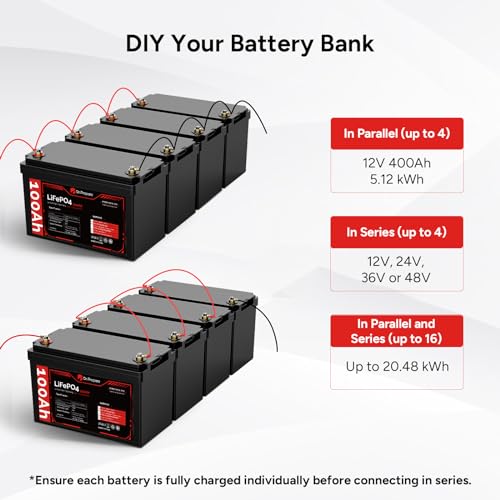 DR.PREPARE 12V 100Ah LiFePO4 Battery (4 Pack) with 100A BMS L957