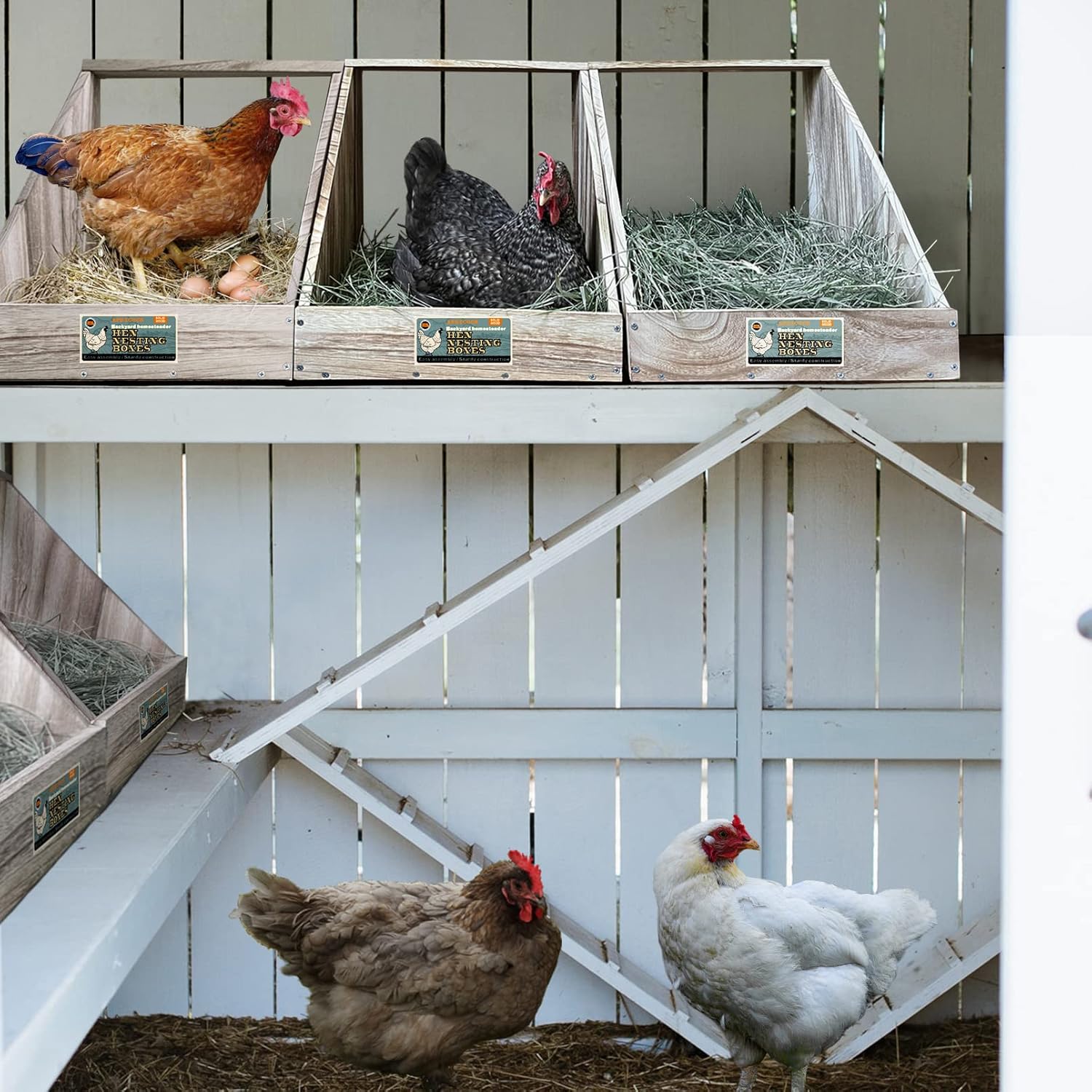Hens Nesting Box for Chicken Coop, Wood Laying Box for Poultry (1 Pack) N36569
