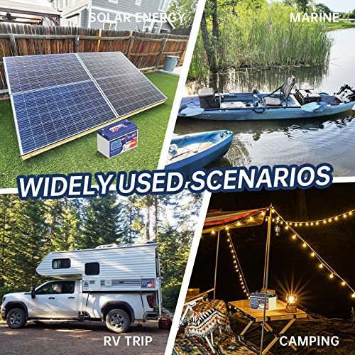 12V 230Ah LiFePO4 Battery with 150A BMS for RV, Solar, Off-Grid G590
