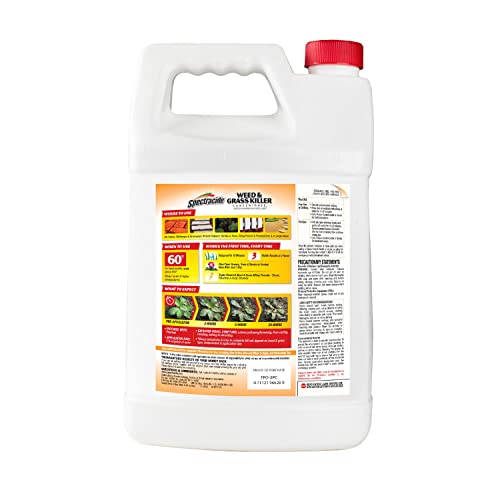 Spectracide Weed & Grass Killer Concentrate, 64 fl oz D5580