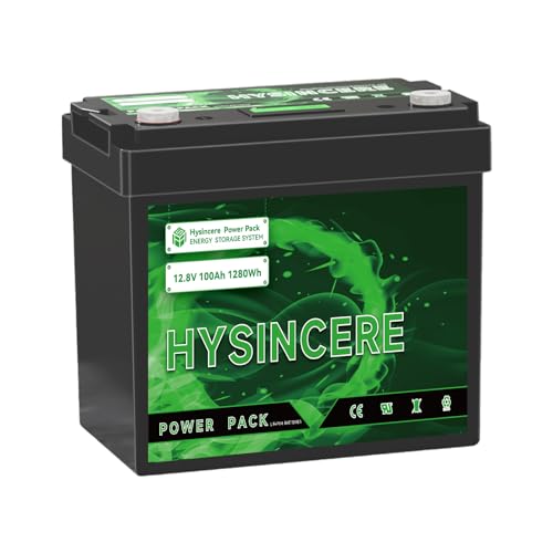12V 100Ah LiFePO4 Lithium Battery, 100A BMS Deep Cycle Rechargeable Lithium Battery with Up to 4000 Cycles for RV, Solar, Trolling Motor, Travel Trailer, Energy Storage