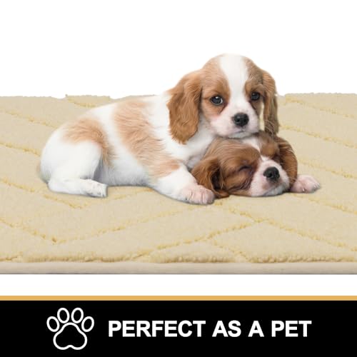Tindbea Dog Mat for Muddy Paws, Non-Slip Washable, 20"x48" Light Taupe J97109