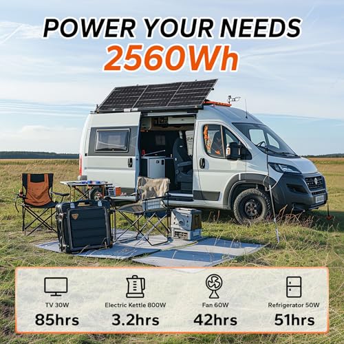 Litime 12V 200Ah LiFePO4 Battery with 100A BMS for RV, Solar, and Off-Grid D8256