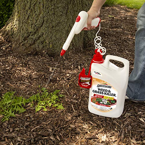 Spectracide Weed & Grass Killer Refill, 1.3 Gallon R555217