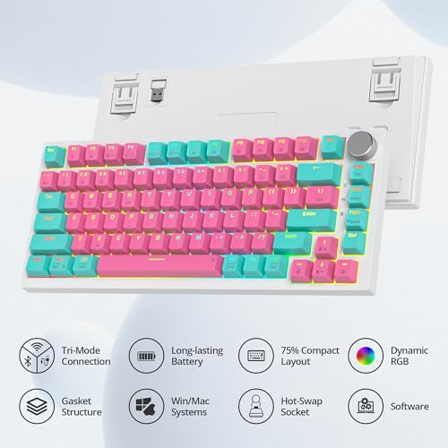 75% Wireless Creamy Mechanical Keyboard, Hot Swappable RGB Gasket Gaming Keyboard D50183