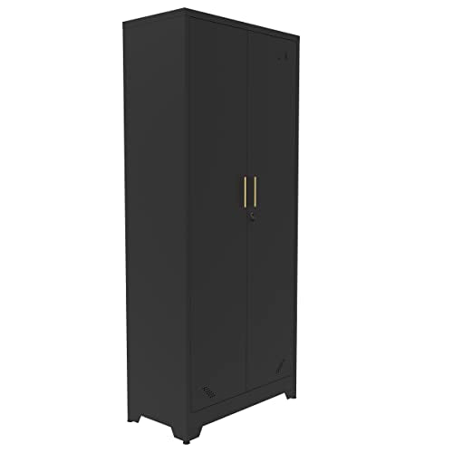 Metal Storage Cabinet with Locking Doors and Adjustable Shelves, Black F2458