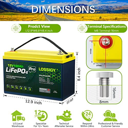 LOSSIGY 12V 100Ah LiFePO4 Lithium Battery with 100A BMS (2 Pack) X2365