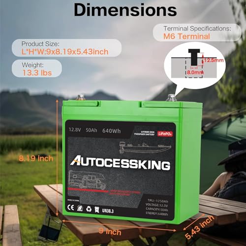 12V 100Ah LiFePO4 Lithium Battery with 100A BMS for RV, Marine, Solar V78934