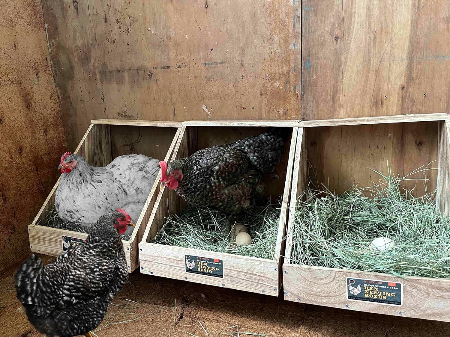 Hens Nesting Box for Chicken Coop, Wood Laying Box for Poultry (1 Pack) N36569
