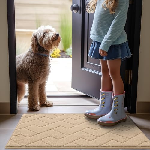 OLANLY Dog Door Mat for Muddy Paws 30x20, Non-Slip Washable Microfiber, Grey K73104
