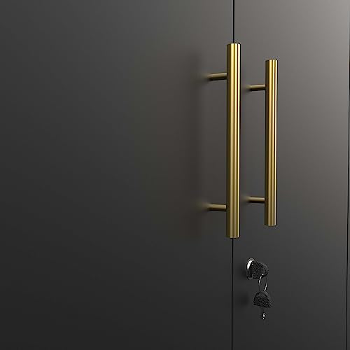 Metal Storage Cabinet with Locking Doors and Adjustable Shelves, Black F2458